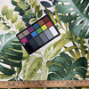 Panama in Tropical  | Green, Olive, Cram Tropical  Foliage  Allover Printed Duck Home Decor Fabric | Drapery |  Vilber | 100% Cotton |  54" Wide | Sold BTY