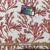 Amalfi in Red / Beige | Home Decor Fabric | Nautical Watercolor Coral |  Vilber | Medium Weight | 100% Cotton | 54" Wide | By the Yard