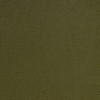 Nassimi Classic in Picholine / Green | Premium Upholstery Vinyl | Auto / Commercial / Home | Extra Durable | 54" Wide | BTY