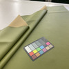 Nassimi Classic in Picholine / Green | Premium Upholstery Vinyl | Auto / Commercial / Home | Extra Durable | 54" Wide | BTY
