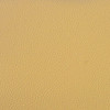 Nassimi Classic in Cashew / Yellowish Tan | Premium Upholstery Vinyl | Auto / Commercial / Home | Extra Durable | 54" Wide | BTY