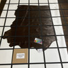 Espresso Brown | Patent Leather Cowhide | 15 Square Feet | 3 Ounce / 1.1 mm