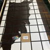 Glossy Dark Espresso Brown | Leather Cowhide | 20 Square Feet | 3 Ounce / 1.2 mm