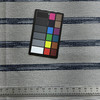Zeller in Indigo | Upholstery Fabric | Stripes in Blue and Off White | Richloom | Heavyweight | 54" Wide | By the Yard