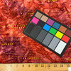 Print | Quilting Fabric | 100% Cotton | 44 wide | By the Yard 115
