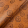 Nassimi WISH In Color SPICE 