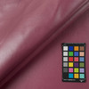 Nassimi SALINGER In Color ACAI VINYL CANVAS | 54 WIDE | BY THE YARD