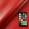 Nassimi SALINGER In Color GOJI VINYL CANVAS | 54 WIDE | BY THE YARD