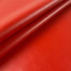 Nassimi SALINGER In Color GOJI VINYL CANVAS | 54 WIDE | BY THE YARD