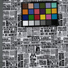 Harry Potter Newspaper Quilting Cotton Fabric | Black / White | 44 Wide | 100% Cotton | By the Yard | Licensed