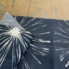 2.875 Yard Piece of Premier Prints Indoor/Outdoor Sparks Oxford | Medium Weight Outdoor Fabric | Home Decor Fabric | 54" Wide