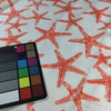 1.875 Yard Piece of Nautical Starfish Red and White | Premier Prints | Outdoor Fabric | 54 Wide | By the Yard