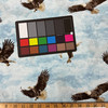 0.87 Yard Piece of Stonehenge Eagle Pass Eagles in Light Blue Multi | Northcott | Quilting Fabric | 44" Wide | 100% Cotton | Birds / Clouds | Blue / White / Brown
