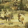 deer wildlife fabric