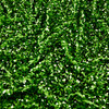 Selectra Plus Sequins Greenery | Medium Weight Knit, Velvet Fabric | Apparel Fabric | 44" Wide
