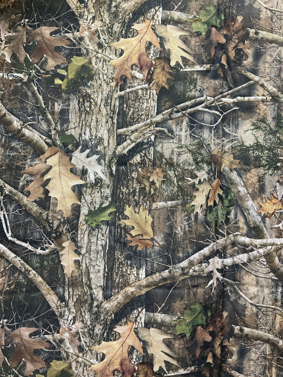 Tree Camouflage Foam-Backed Headliner Fabric / Sew Foam, 1/8 Thick, 54  Wide