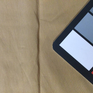 Soft Gold Taffeta Fabric | Poly Blend | Special Occasion Apparel Dresses Drapes