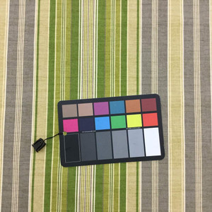 11 Yard Piece of Vera Cruz By Tommy Bahama Green Stripe Printed Drapery And Upholstery Fabric