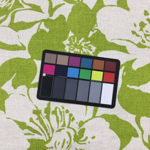 Peony in Lime | Silhouette Floral in Green and Beige | Upholstery / Drapery Fabric | P/Kaufmann | 54" Wide | By the Yard