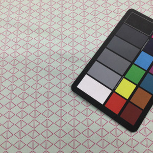 Mint Green Geometric | Rustic Rosettes by Sandy Lynam Clough | Quilting Fabric | 100% Cotton | 44 wide | By the Yard