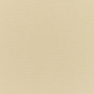 4 Yard Piece of CANVAS ANTIQUE BEIGE  | Furniture Weight Fabric | 54 Wide | By The Yard | 5422-0000