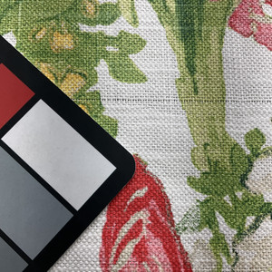 PKL Studio Summer Ready Linen Garden | Medium/Heavyweight Linen Fabric | Home Decor Fabric | 54" Wide