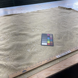 Sherry in Palazzo | Upholstery Fabric | Gold / Taupe Damask | Medium Weight | 54" Wide | By The Yard