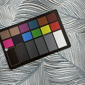 Richloom Fortress Clear Flutter in Cloud | Upholstery Fabric | Leaf Design in Blue and White | Heavyweight | 54" Wide | By the Yard