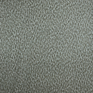 Nassimi IMPRESSION In Color COWRIE 