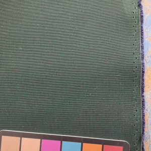 Sunbrella 4632-0000 | IVY | 46 Inch Marine & Awning Weight Canvas Fabric