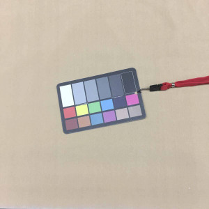 Robert Allen LADY ELSIE FAWN UPHOLSTERY Fabric