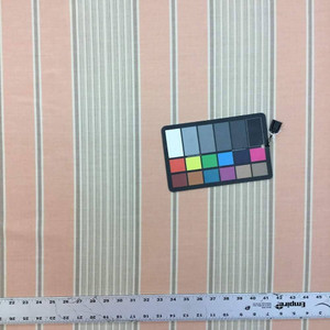 Sunbrella Bedovin Cameo | Furniture Weight Fabric | 54 Wide | BTY | 40394-0005