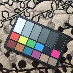 Foliage in Brown and Tan | Heavy Weight Upholstery Fabric | 54 W | By the Yard