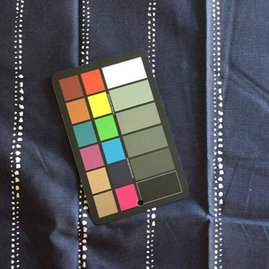 Dotted Lines in Navy Blue and White | Home Decor Fabric | 55 Wide | By the Yard