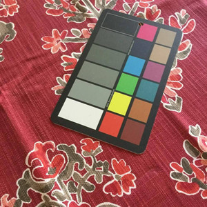 Large Scale Floral in Red / Pink | Home Decor Fabric | 55 Wide | By the Yard