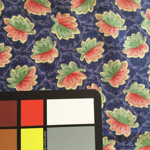 Red and Green Leaves on Blue |  Home Decor Fabric | 54 Wide | By the Yard