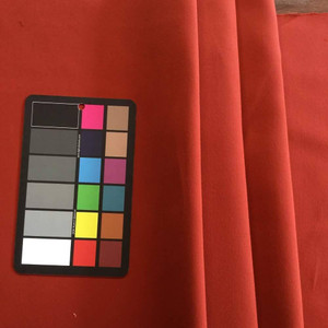 Sunbrella Luminous Terracotta Baby | Furniture Weight Fabric | 54 Wide | BTY | 41011-0011