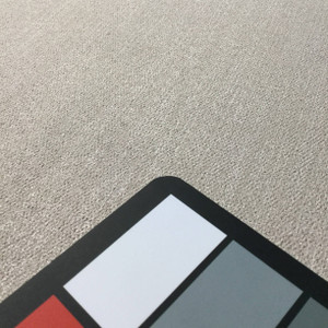 Brushed Tan | Medium Weight Upholstery / Slipcover Fabric | 54 W | By the Yard