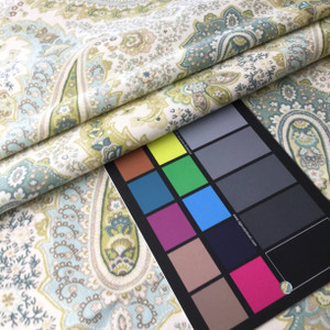 Delicate Paisley | Blue / Green / White | Home Decor Fabric | Richloom | 54 Wide