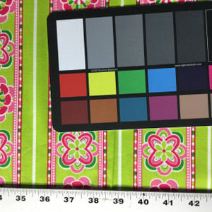 Gi-Gi Greene Floral Stripes | Green / Pink | Quilting Fabric | Robert Kaufman | 44" Wide | By the Yard