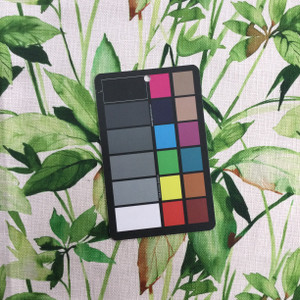 Tropical Foliage Green / White | Mercado Mini Pearl by Regal | Upholstery / Slipcover Fabric | 54" Wide | By the Yard