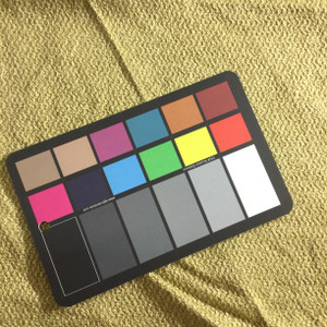 Textured Moss Green | Upholstery Fabric | 54” Wide | By the Yard