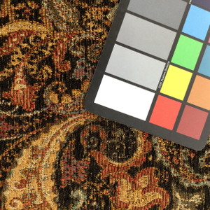 Alonzo in Wren | Paisley Floral in Black / Tan / Red / Blue  | Heavy Upholstery Fabric | 54" Wide | By the Yard