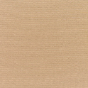 6 Yard Piece of CANVAS CAMEL  | Furniture Weight Fabric | 54 Wide | By The Yard | 5468-0000