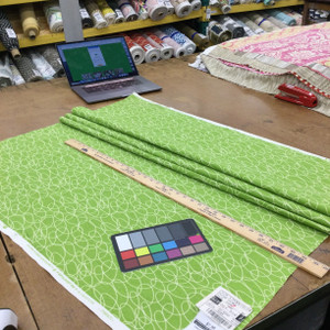 Scribble in Meadow | Abstract Green | Home Decor Fabric | P/K Lifestyles | 54" Wide | By the Yard