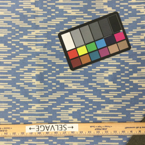 Jazzy in Chambray | Blue / Beige | Home Decor Fabric | Golding Fabrics | 54" Wide | By the Yard