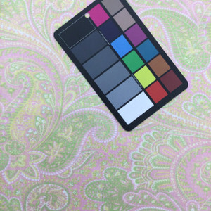 Paisley in Pink / Green / Yellow | Home Decor / Drapery Fabric | 54" Wide | By the Yard