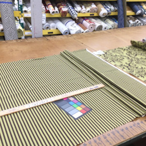 Stripes in Olive Green and Brown | Home Decor / Drapery Fabric | Premier Prints | 54" Wide | By the Yard