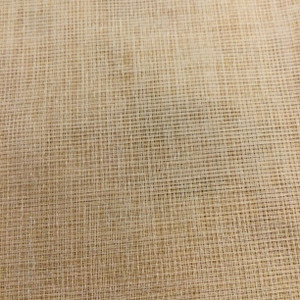 Orange Sherbet Solid Sheer Drapery Mesh Fabric | Sheer | Extra Wide | Drapery| Home Decor | By The Yard | 108 " Wide