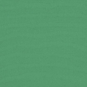 4.66 Yard Piece of Sunbrella 4600-0000 | ERIN GREEN | 46 Inch Marine & Awning Weight Canvas Fabric